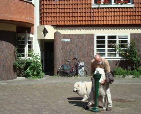 Hembrugstraat LA 100617