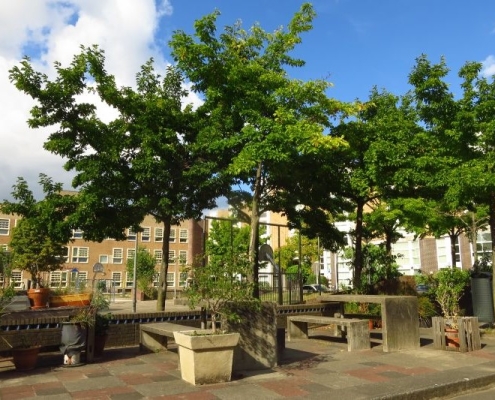 Meerhuizenplein LA 220828