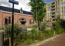 Paradijsplein Oostpoort LA 220907